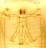 Darstellung des Menschen von Leonardo da Vinci